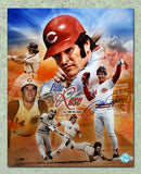 MLB - Essential Memorabilia Collection - 1 item per box - Baseball + coa